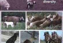 Principles of Animal Cell Culture Students Compendium PDF | Vet eBooks