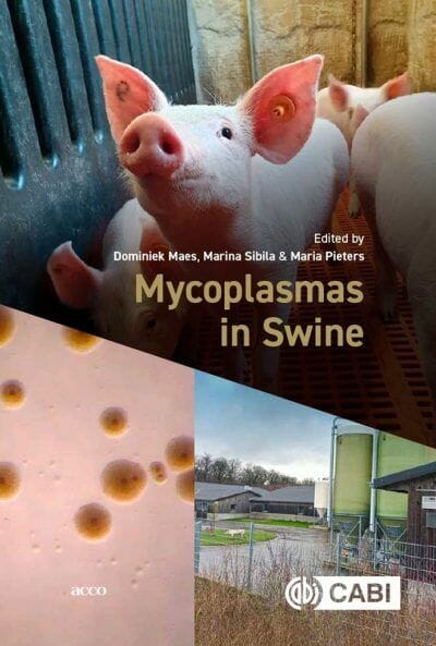 Mycoplasmas in Swine
