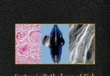 Systemic Pathology of Fish: A Text and Atlas of Normal Tissues in Teleosts and their Response in Disease, 2nd Edition PDF