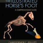 The-Illustrated-Horses-Foot_A-comprehensive-guide
