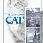 The Laboratory Cat