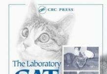 The Laboratory Cat