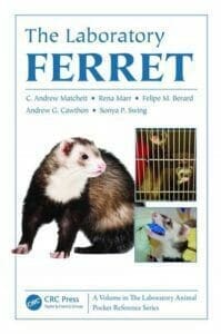 The-Laboratory-Ferret