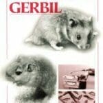 The-Laboratory-Hamster-and-Gerbil