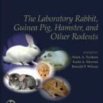 The-Laboratory-Rabbit-Guinea-Pig-Hamster-and-Other-Rodents