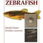 The-Laboratory-Zebrafish