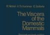 The Viscera of the Domestic Mammals 2nd Edition PDF