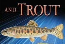 Tilapia and Trout Harvesting