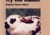 Try the Rabbit, A Practical Guide