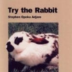 Try the Rabbit, A Practical Guide