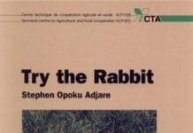 Try the Rabbit, A Practical Guide
