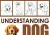 Understanding Dog Language: 50 Points