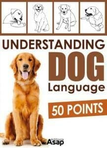 Understanding Dog Language: 50 Points