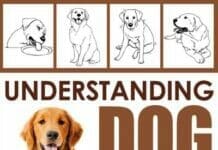 Understanding Dog Language: 50 Points