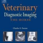 Veterinary-Diagnostic-Imaging-The-Horse