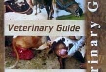 Veterinary Guide PDF