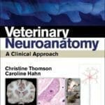 Veterinary-Neuroanatomy-A-Clinical-Approach