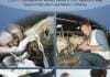Veterinary and Animal Ethics PDF