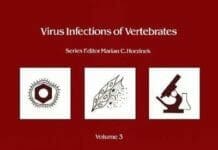 Virus Infections of Ruminants PDF By Z. DINTER and B. MOREIN