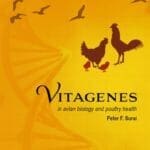 Vitagenes-in-Avian-Biology-and-Poultry-Health