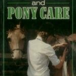 Young Riders Guide to Horse and Pony Care PDF