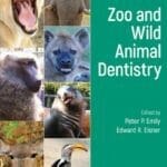 Zoo-and-Wild-Animal-Dentistry