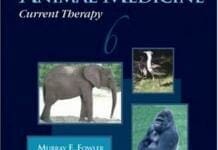 Zoo and Wild Animal Medicine Current Therapy 6th Edition