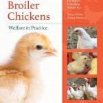 broiler_chickens_welfare_in_practice