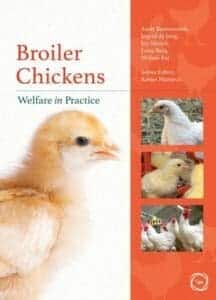 broiler_chickens_welfare_in_practice