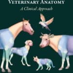 Comparative Veterinary Anatomy: A Clinical Approach Comparative Veterinary Anatomy: A Clinical Approach