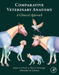 Comparative Veterinary Anatomy: A Clinical Approach Comparative Veterinary Anatomy: A Clinical Approach