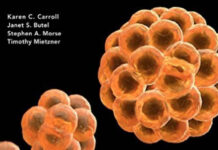 Jawetz Melnick & Adelberg’s Medical Microbiology, 27th Edition Jawetz Melnick & Adelberg’s Medical Microbiology, 27th Edition