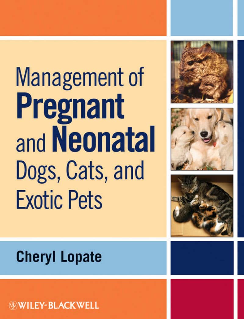 Management Of Pregnant And Neonatal Dogs, Cats, And Exotic Pets Pdf Download