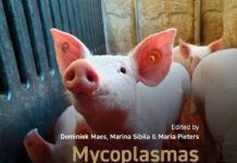 Mycoplasmas in Swine Mycoplasmas in Swine