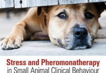 Stress and Pheromonatherapy in Small Animal Clinical Behaviour