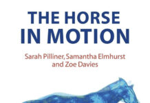 The Horse in Motion: The Anatomy and Physiology of Equine Locomotion The Horse in Motion: The Anatomy and Physiology of Equine Locomotion
