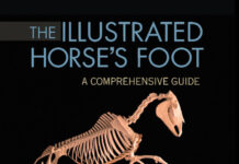 The Illustrated Horse’s Foot: A comprehensive guide The Illustrated Horse’s Foot: A comprehensive guide