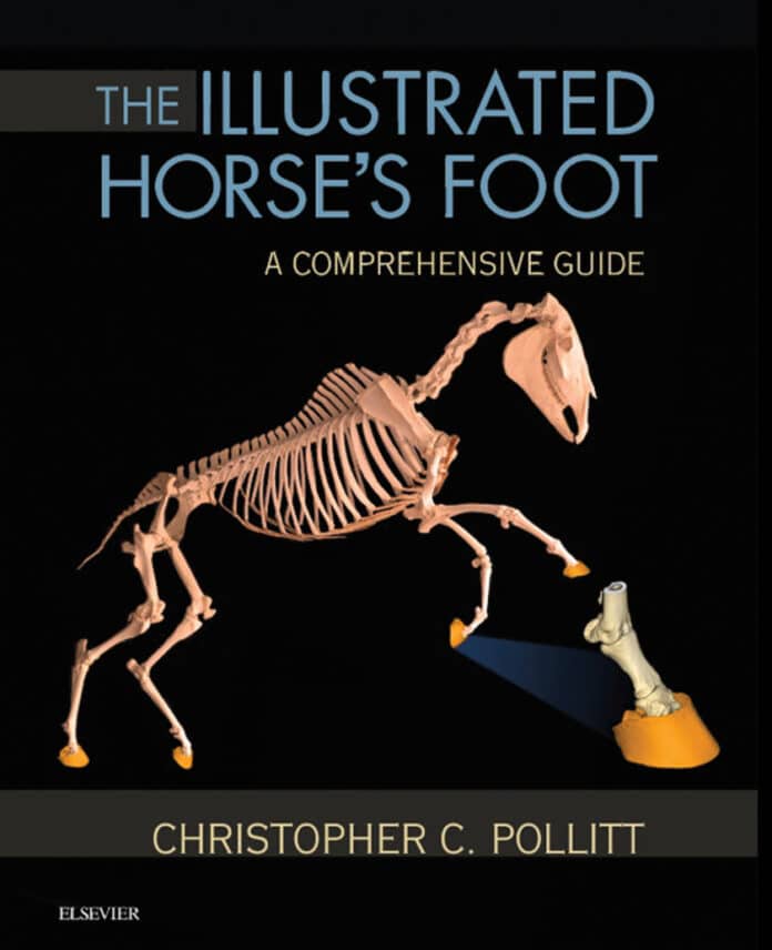 the-illustrated-horses-foota-comprehensive-guide The Illustrated Horse’s Foot: A comprehensive guide