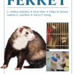 The Laboratory Ferret