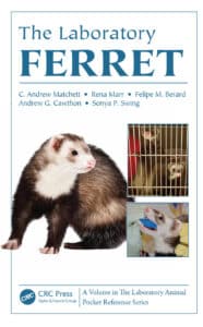 The Laboratory Ferret The Laboratory Ferret