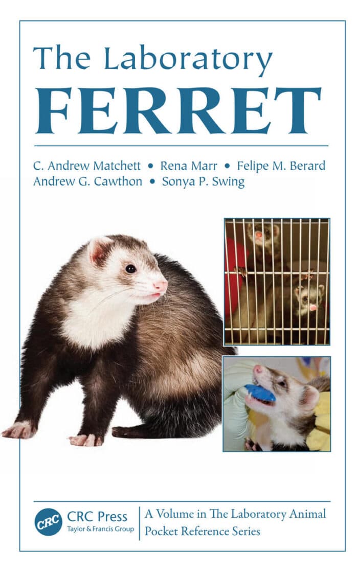 the-laboratory-ferret The Laboratory Ferret