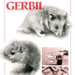 The Laboratory Hamster and Gerbil