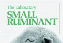 The Laboratory Small Ruminant