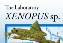 The Laboratory Xenopus sp The Laboratory Xenopus sp