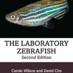 The Laboratory Zebrafish The Laboratory Zebrafish