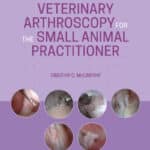 Veterinary Arthroscopy for the Small Animal Practitioner