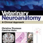 Veterinary Neuroanatomy: A Clinical Approach Veterinary Neuroanatomy: A Clinical Approach