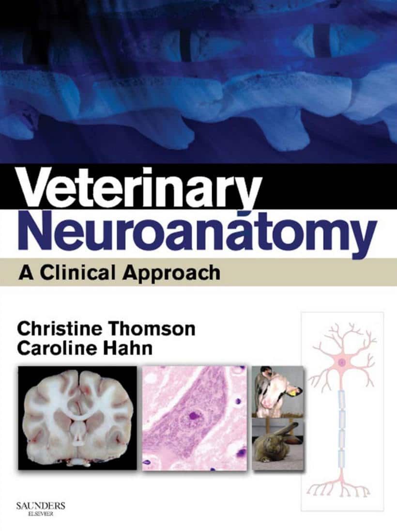 Veterinary Neuroanatomy: A Clinical Approach Pdf Download