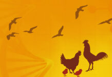 Vitagenes in Avian Biology and Poultry Health Vitagenes in Avian Biology and Poultry Health