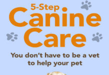 5-Step Canine Care: You Don't Have to be a Vet to Help Your Pet